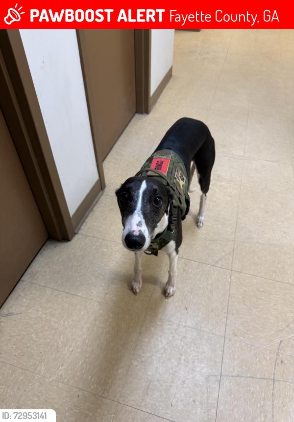 Lost Male Dog last seen he was last seen at my address, running west , Fayette County, GA 30214