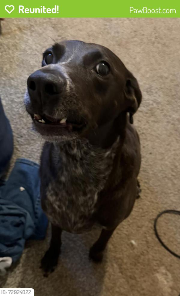 Reunited Female Dog last seen Chapel wood Ln, Deerfield Rd, Plantation Dr., Pecan Grove, TX 77406