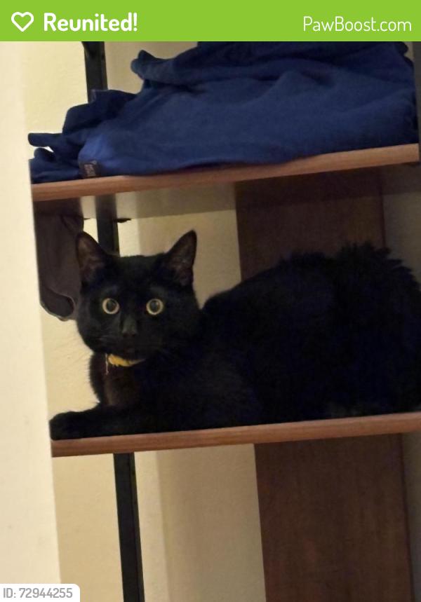 Reunited Male Cat last seen Martinsburg Church of God , Martinsburg, WV 25401