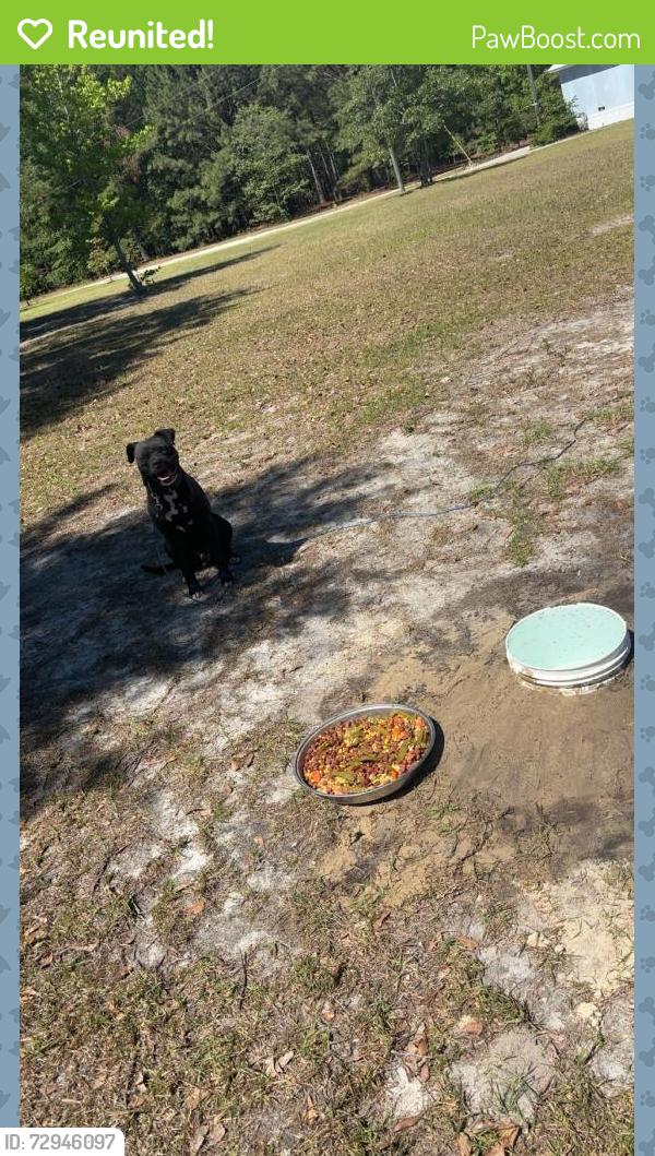 Reunited Male Dog last seen Old Ridge Rd & Evan’s Mill Rd, Chesterfield, SC 29709