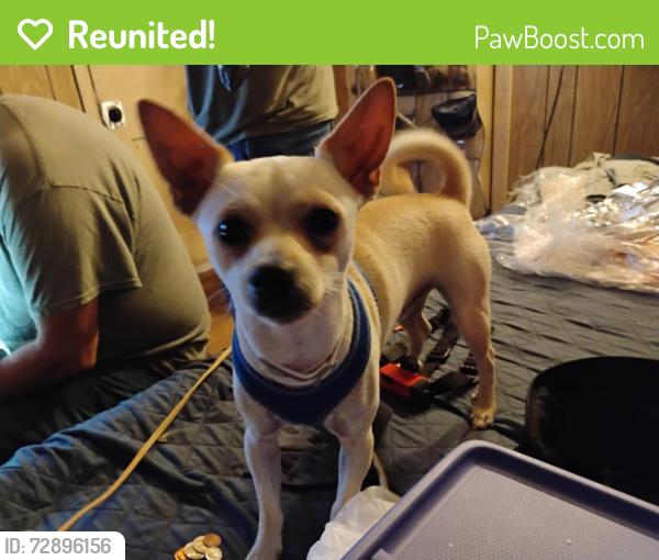 Reunited Male Dog last seen Bowen rd, Arlington, TX 76012