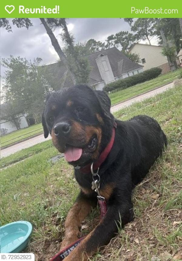 Reunited Male Dog last seen Raven South Dr and Scamp Dr, Cypress, TX 77429