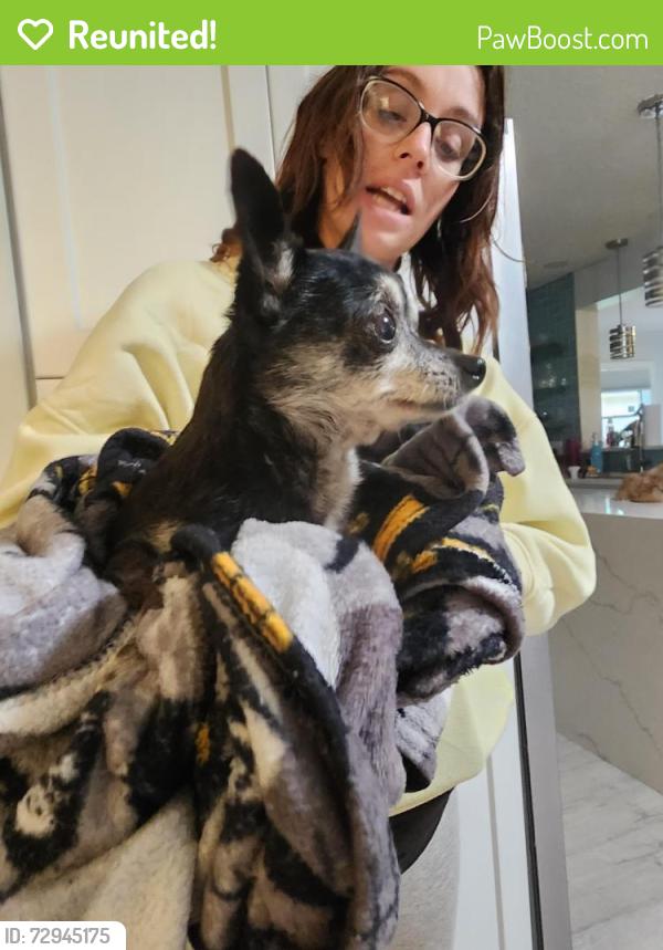 Reunited Female Dog last seen Carter Road off Wildwood Drive, St. Johns County, FL 32086