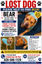 Lost Male Dog last seen Great Smoky Mountains National Park, ocunoluftee visitor center , Cherokee, NC 28719