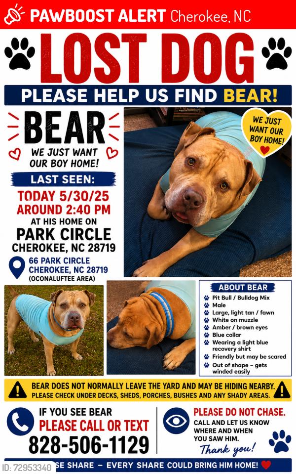 Lost Male Dog last seen Great Smoky Mountains National Park, ocunoluftee visitor center , Cherokee, NC 28719