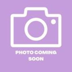 Shelter Stray Female Cat last seen El Paso, TX 79904, Fort Bliss, TX 79906