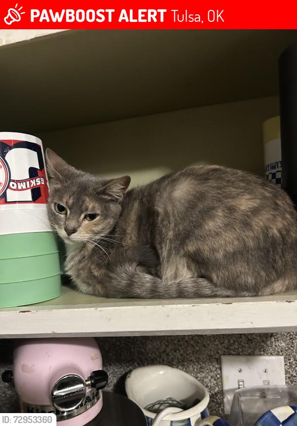Lost Female Cat last seen There is a Mormon church near our hse , Tulsa, OK 74135