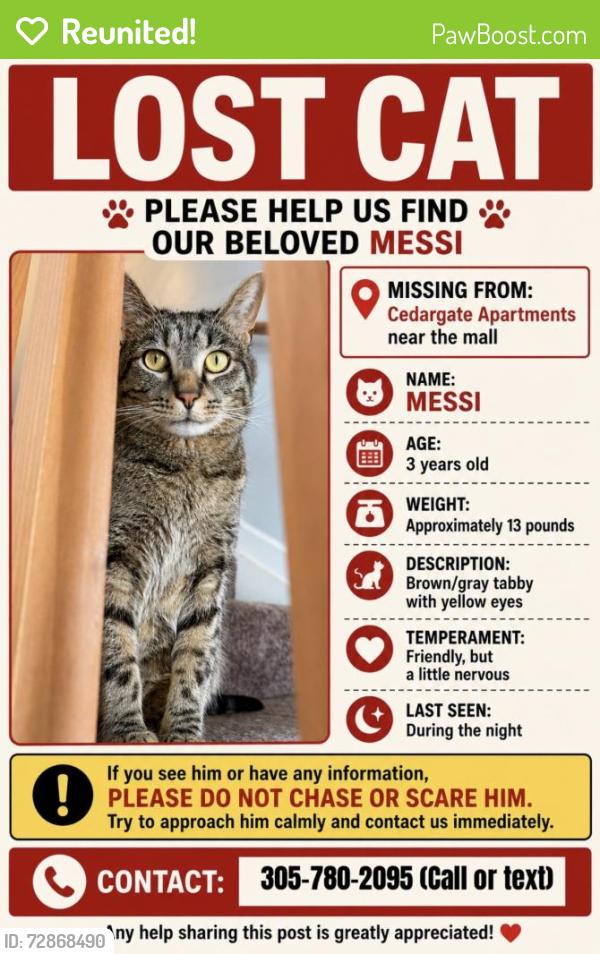 Reunited Male Cat last seen N Pete Ellis Dr and E Amy Ln, Bloomington, IN 47408