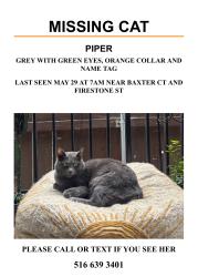 Lost Female Cat last seen Firestone st, she goes into backyards and may have ventured into the canyon behind, San Diego, CA 92117