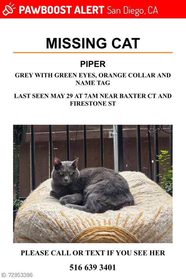 Lost Female Cat last seen Firestone st, she goes into backyards and may have ventured into the canyon behind, San Diego, CA 92117