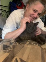Lost Male Cat last seen Americana , Palm Bay, FL 32907