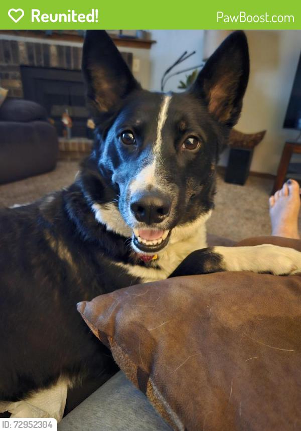 Reunited Male Dog last seen WEST 61ST ST & S BANEBERRY AVE , Sioux Falls, SD 57106