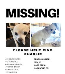 Lost Male Dog last seen Evers and poss , San Antonio, TX 78238
