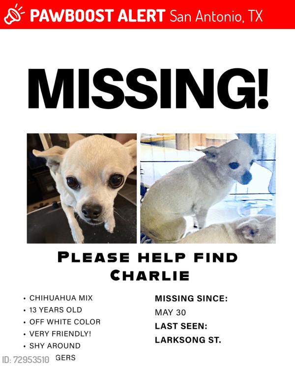 Lost Male Dog last seen Evers and poss , San Antonio, TX 78238