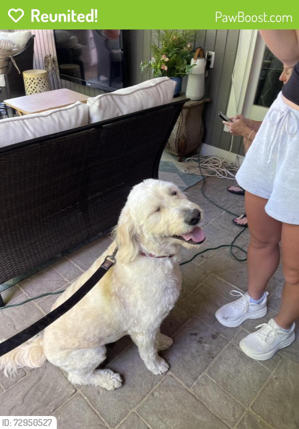 Reunited Male Dog last seen Near Thornbird Lane, Carmel, IN 46032