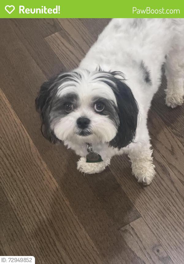 Reunited Female Dog last seen Weyburn, Annandale, VA 22003