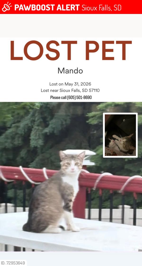 Lost Male Cat last seen Sandberg dr, Sioux Falls, SD 57110