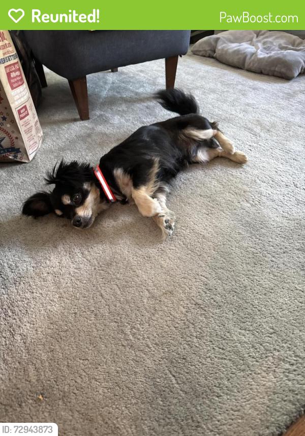 Reunited Male Dog last seen Parr and Settlemier, Woodburn, OR 97071