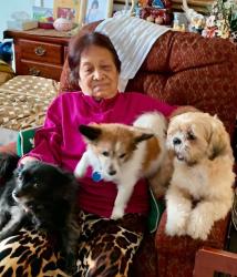 Reunited Male Dog last seen Orchid vine /pennyroyroyal, Las Vegas, NV 89183