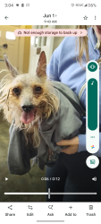 Found/Stray Male Dog last seen Near Prescott Street, Yonkers, NY , Yonkers, NY 10701
