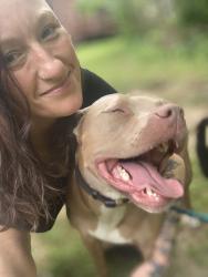 Reunited Male Dog last seen Mclain & Genesee rd, Litchfield, MI 49252