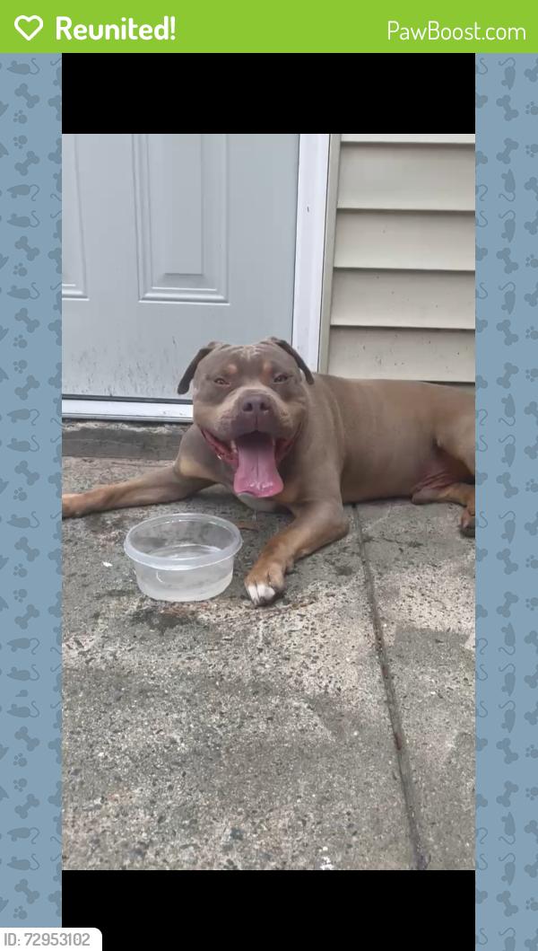 Reunited Male Dog last seen Huntingreen Lane 27106, Winston-Salem, NC 27106