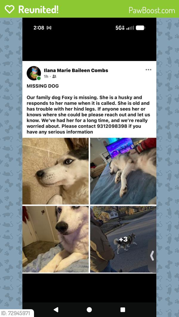 Reunited Female Dog last seen Wellington Drive and Sweetbrier , Clarksville, TN 37043