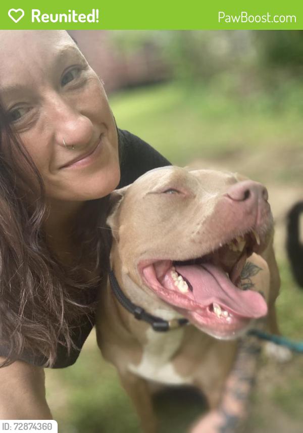 Reunited Male Dog last seen Mclain & Genesee rd, Litchfield, MI 49252