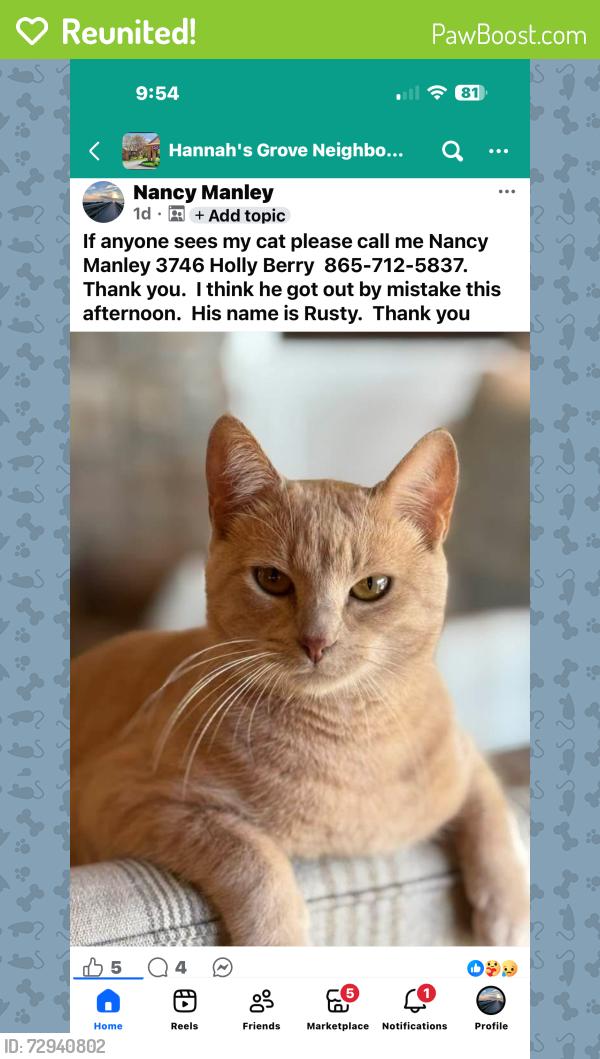 Reunited Male Cat last seen Norris Freeway, Knoxville, TN 37938