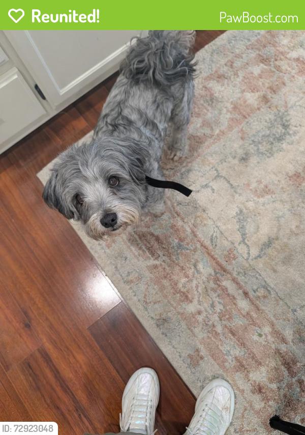 Reunited Male Dog last seen Norman and midway, Broken Arrow, OK 74014