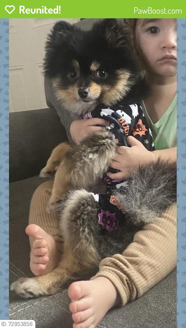 Reunited Female Dog last seen Caldwell , Visalia, CA 93277
