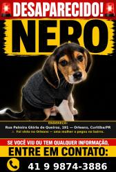 Lost Male Dog last seen Palmira glória de queiroz 191, Orleans, PR 82310-250