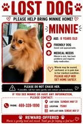 Lost Female Dog last seen Near knob Oak ct, Irving, TX 75060