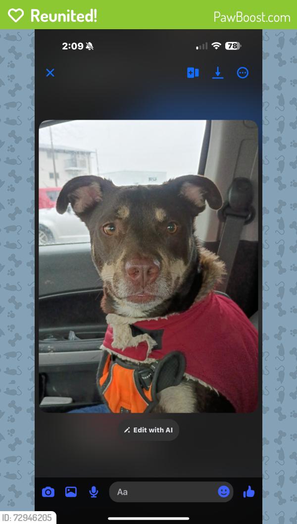 Reunited Male Dog last seen At the bmv . , Indianapolis, IN 46229