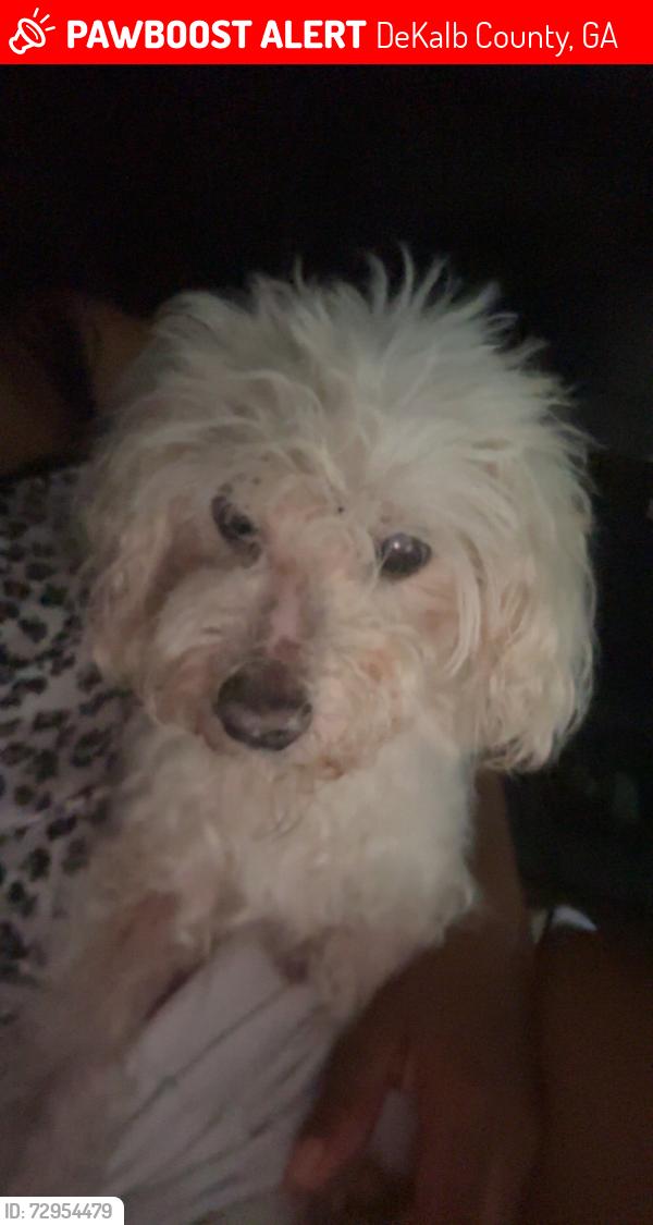 Lost Male Dog last seen Redan road , DeKalb County, GA 30088