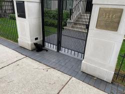 Reunited Unknown Cat last seen Near N Lakewood, Chicago, Chicago, IL 60657