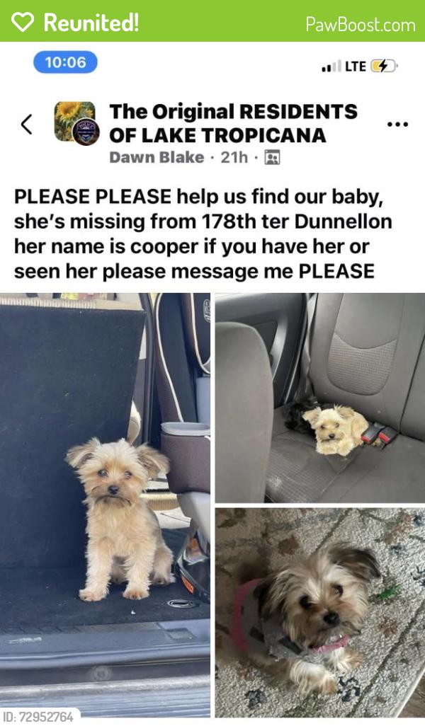 Reunited Female Dog last seen Near SW 178th Terrace, Dunnellon, FL 34432, USA, Dunnellon, FL 34432