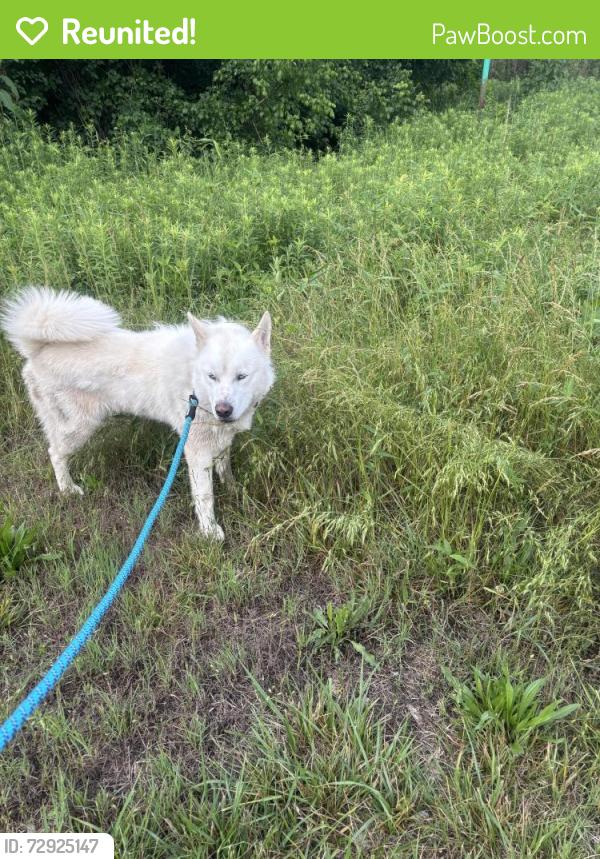 Reunited Male Dog last seen Near the VA hosp , Salisbury, NC 28144