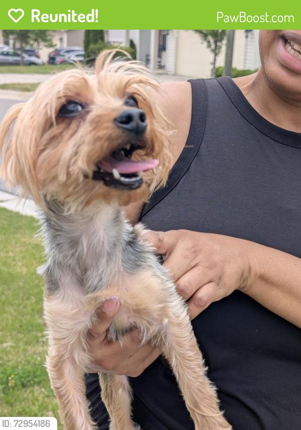 Reunited Male Dog last seen Kinakeet Dr, Cardinal Lake Dr, Durham, NC 27704