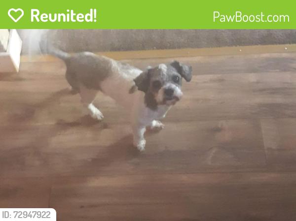 Reunited Male Dog last seen Sw Conestoga Dr, Beaverton, OR 97005