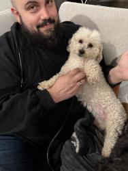 Reunited Female Dog last seen Near Somerset Rd Lewisville TX, Lewisville, TX 75067