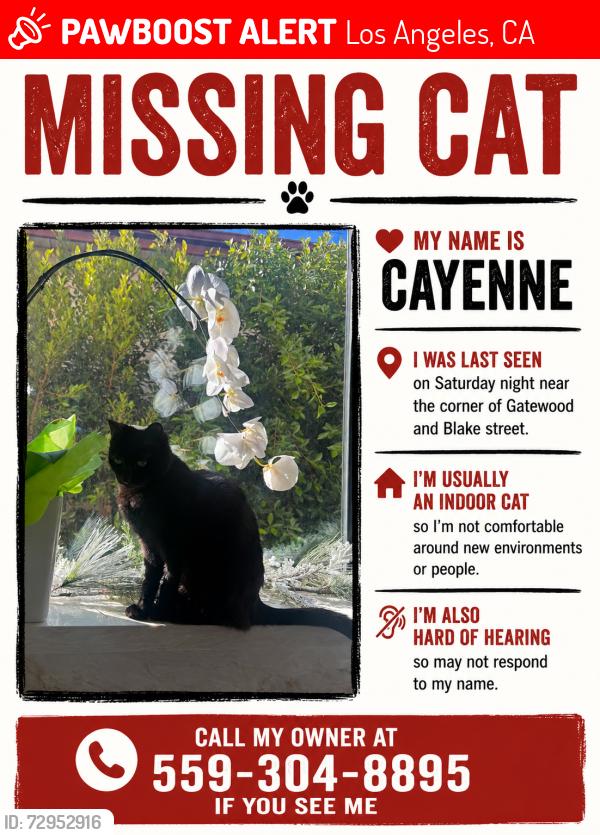 Lost Female Cat last seen Gatewood St and Blake St , Los Angeles, CA 90031