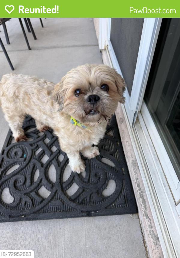 Reunited Male Dog last seen Ribbon Grass ave / Pennyroyal st, Enterprise, NV 89183