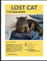 Lost Male Cat last seen V5H1E7 , Burnaby, BC V5H