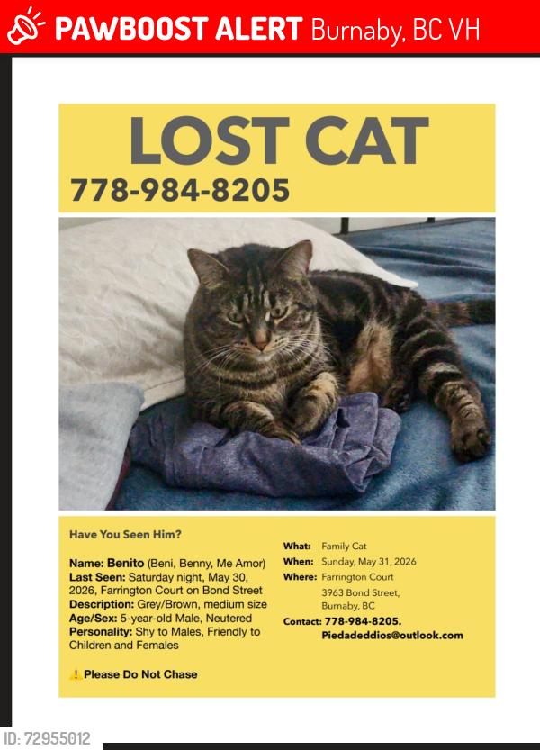 Lost Male Cat last seen V5H1E7 , Burnaby, BC V5H