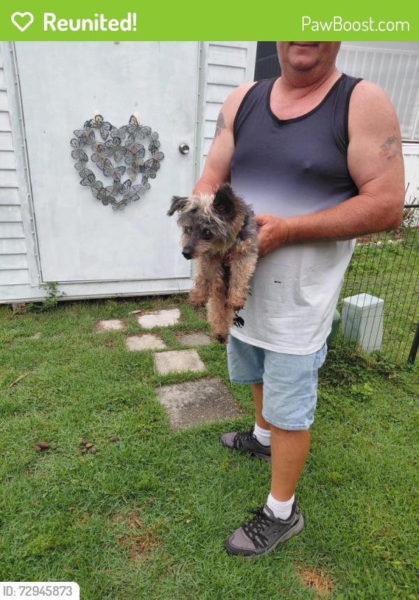 Reunited Male Dog last seen Recreation Plantation , Lady Lake, FL 32159