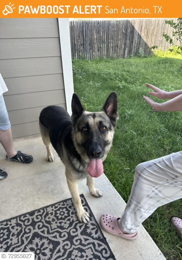 Found/Stray Male Dog last seen Valley ranch , San Antonio, TX 78254