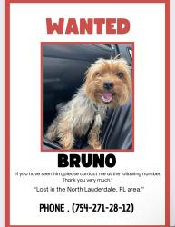 Lost Male Dog last seen Lauderhill 2116 , Lauderhill, FL 33313