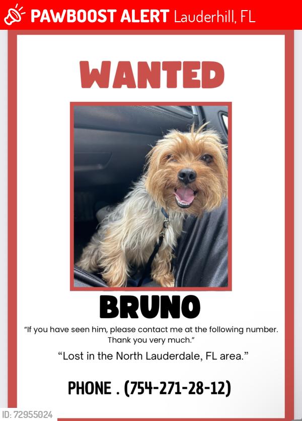 Lost Male Dog last seen Lauderhill 2116 , Lauderhill, FL 33313