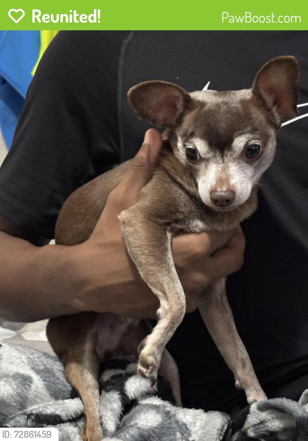 Reunited Male Dog last seen Legion Hut Rd, Mabelvale , Little Rock, AR 72103